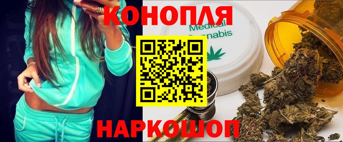Конопля сатива  Канабис конопля  Саранск  Вход с VPN 